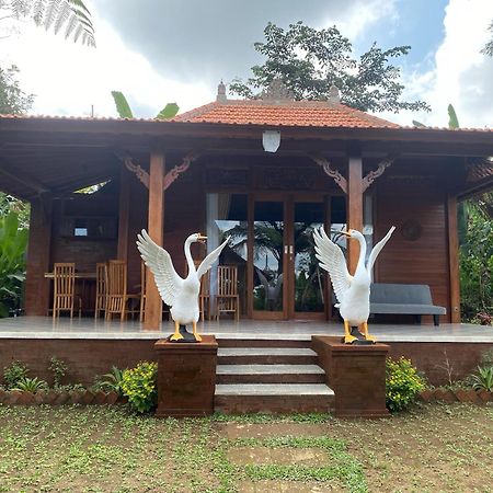 Lembah Cinta Mayungan Baturiti Eksteriør bilde