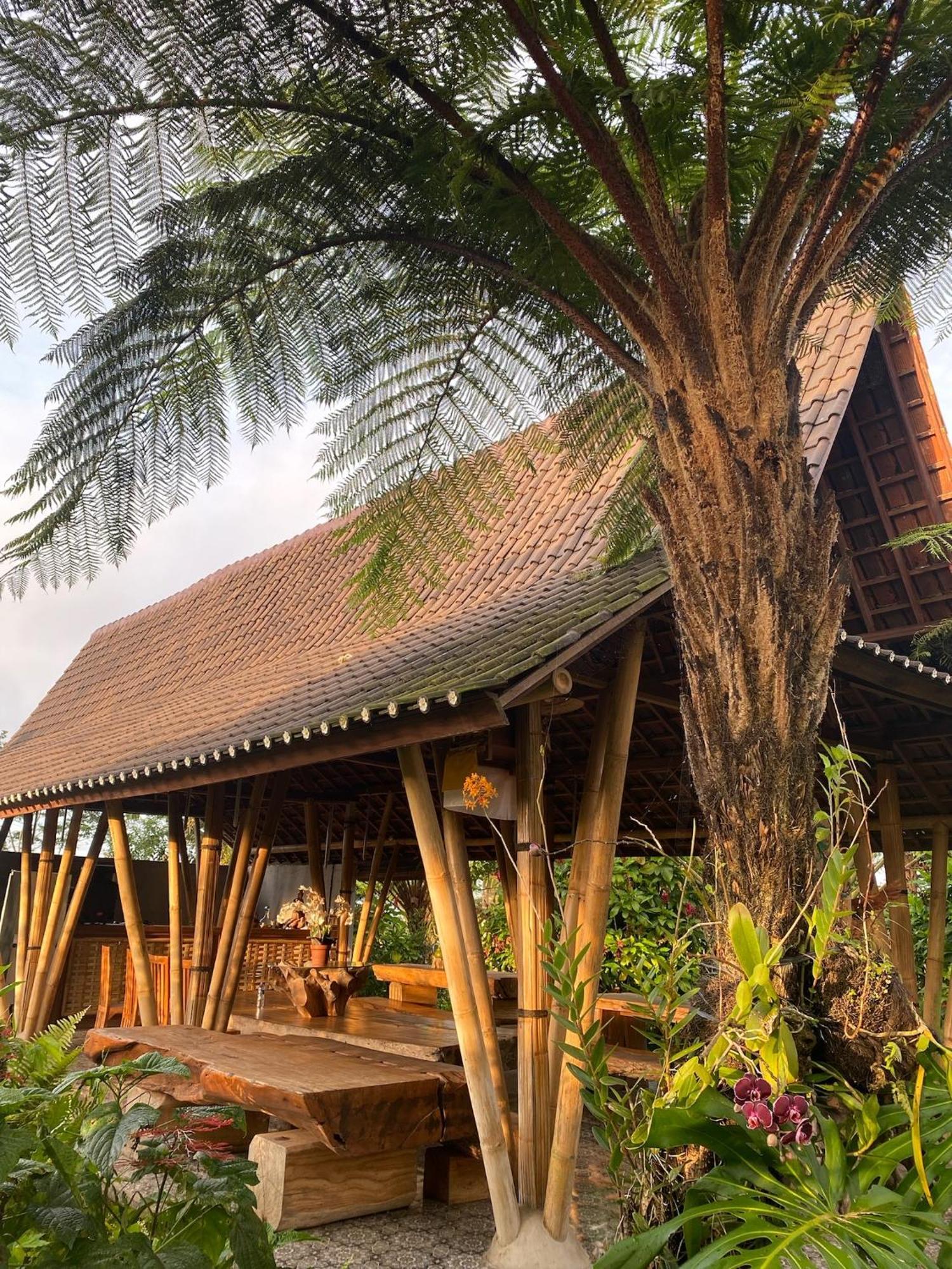 Lembah Cinta Mayungan Baturiti Eksteriør bilde